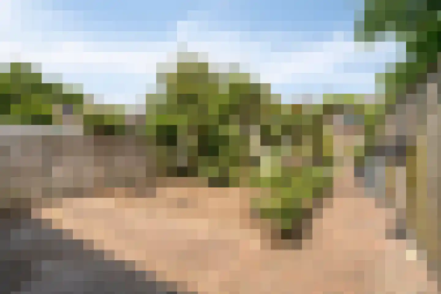 Europalaan 112 Nuenen thumbnail 38