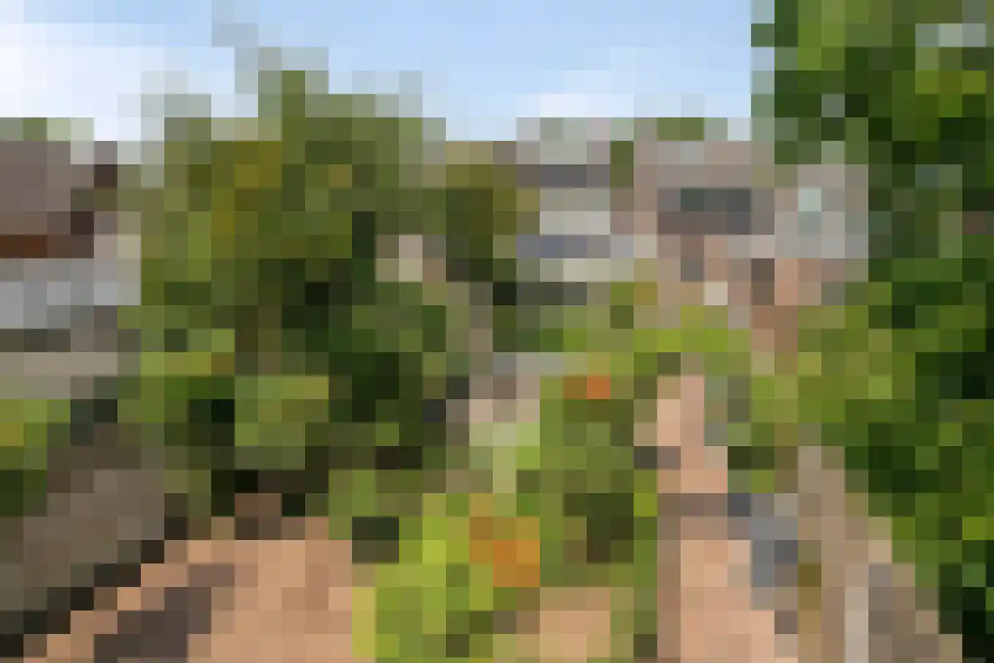 Europalaan 112 Nuenen thumbnail 41