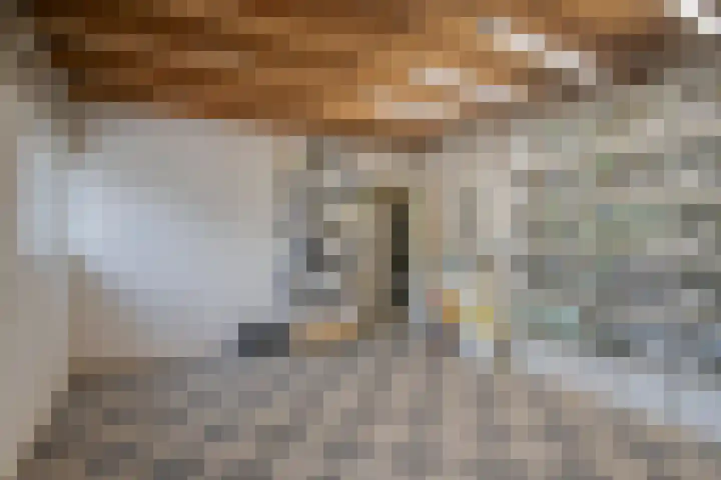Europalaan 112 Nuenen thumbnail 45
