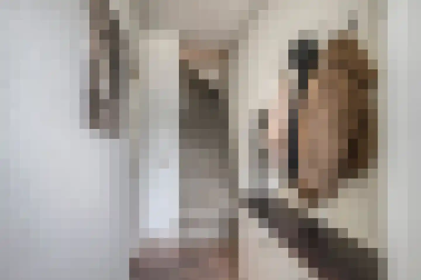 Europalaan 112 Nuenen thumbnail 9