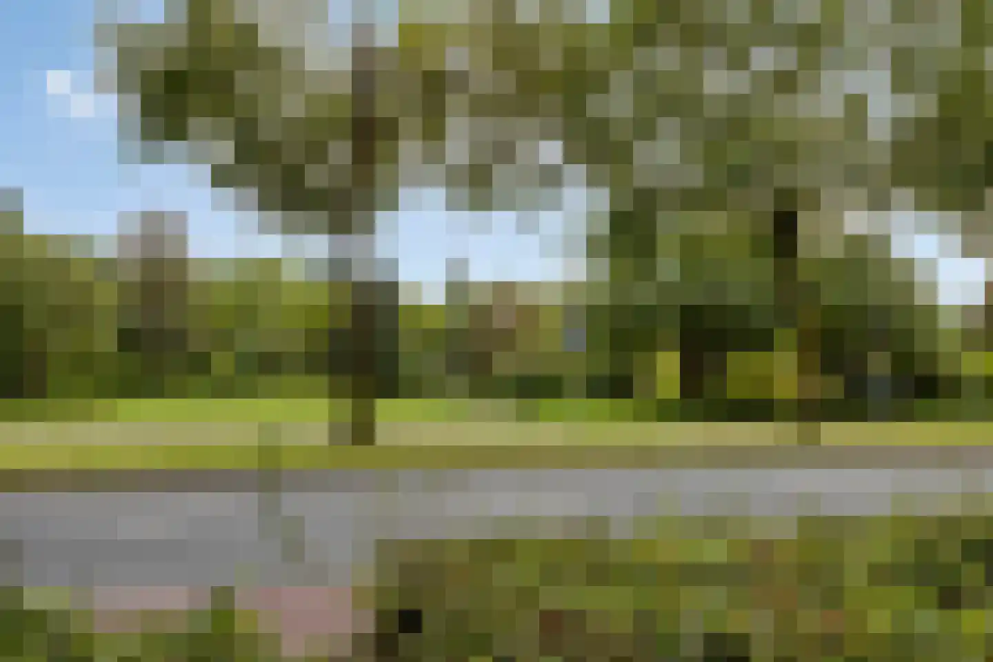 Europalaan 12 B Eindhoven thumbnail 22