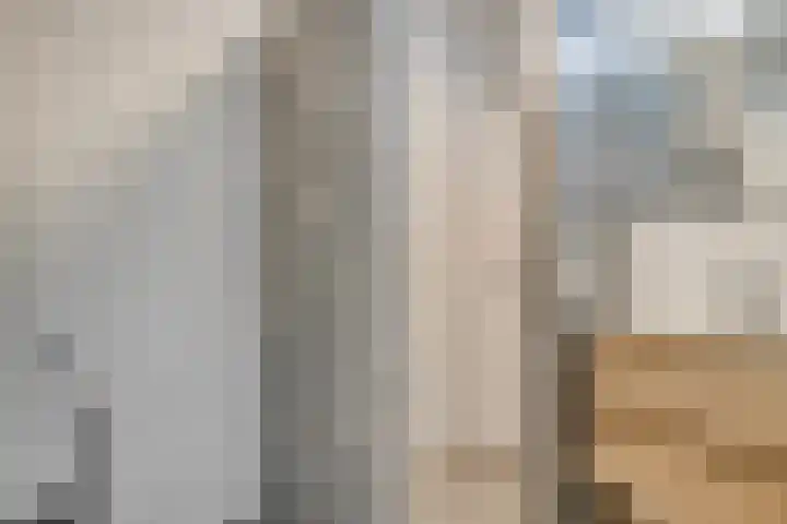 Europalaan 12 C Eindhoven thumbnail 14