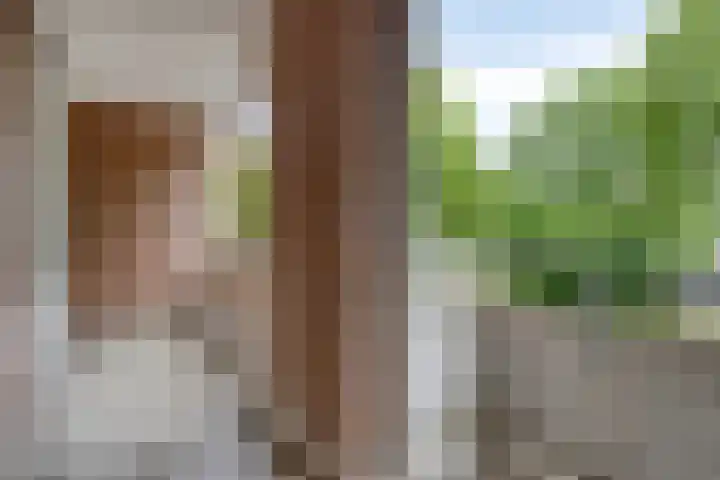 Europalaan 12 C Eindhoven thumbnail 16