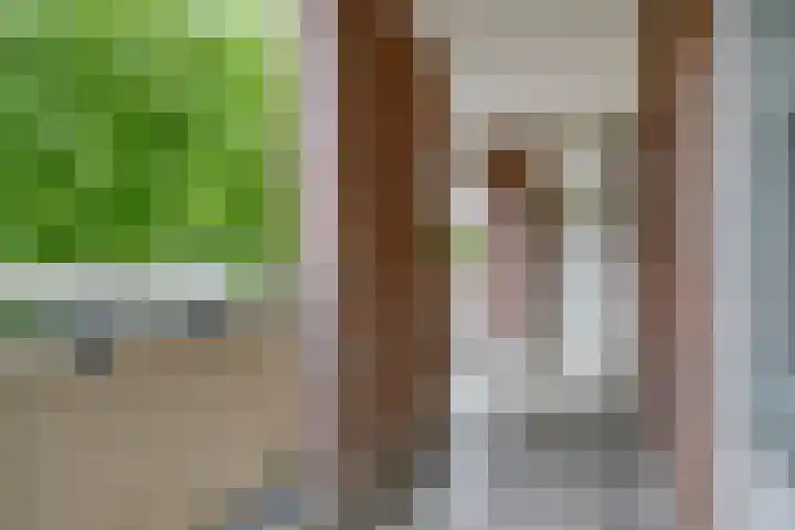 Europalaan 12 C Eindhoven thumbnail 17