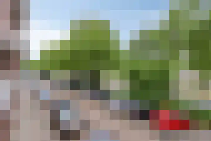 Europalaan 12 C Eindhoven thumbnail 18