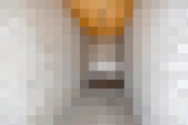 Europalaan 12 C Eindhoven thumbnail 19