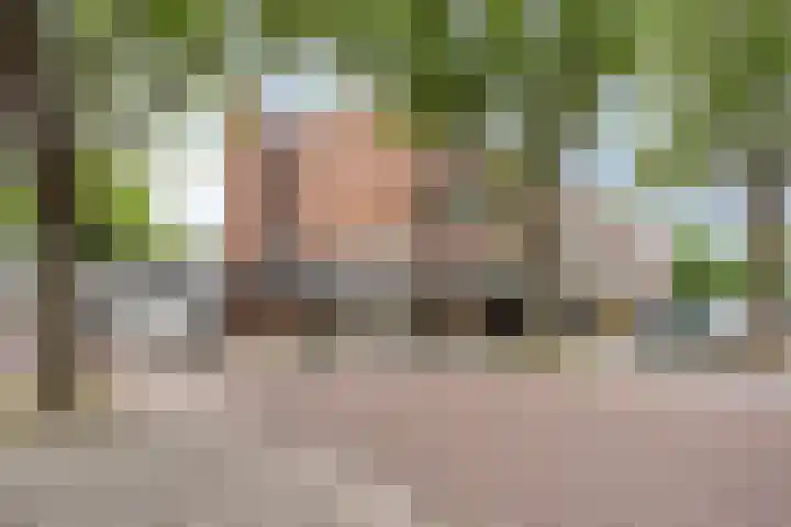 Europalaan 12 C Eindhoven thumbnail 22