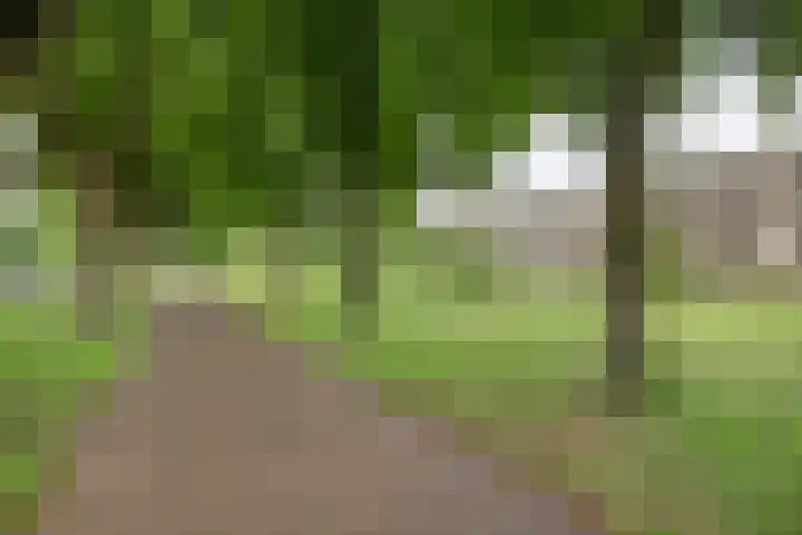 Europalaan 12 C Eindhoven thumbnail 23