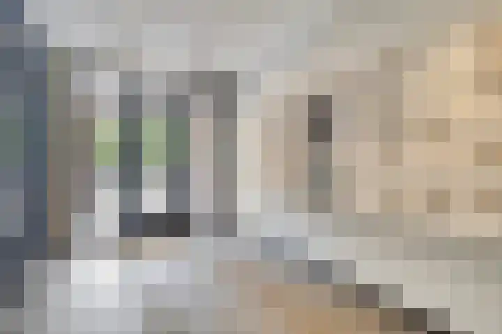 Europalaan 12 C Eindhoven thumbnail 4