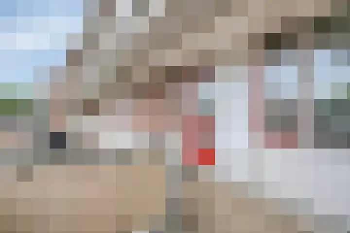 Europalaan 12 C Eindhoven thumbnail 5