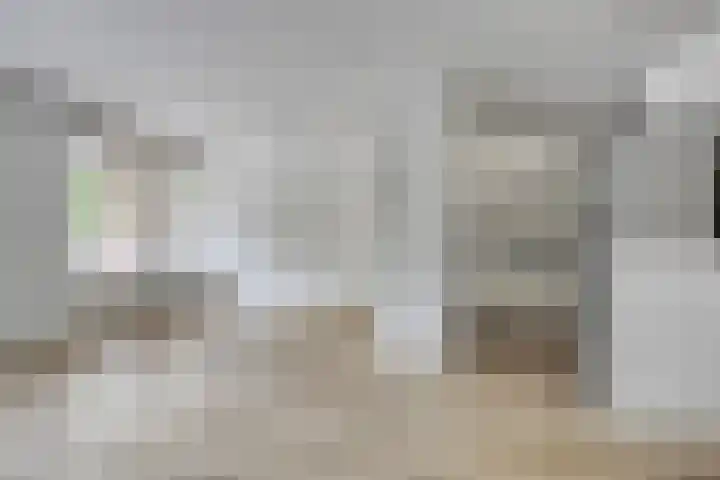 Europalaan 12 C Eindhoven thumbnail 9