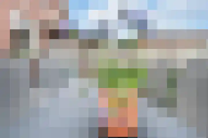Europalaan 12 Schijndel thumbnail 26