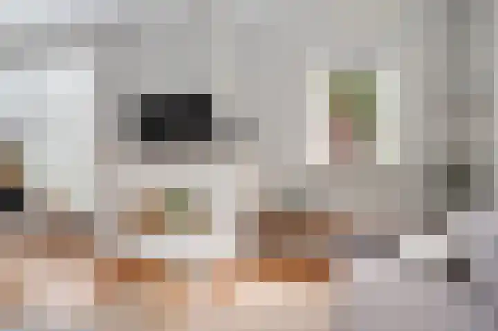 Europalaan 12 Schijndel thumbnail 7