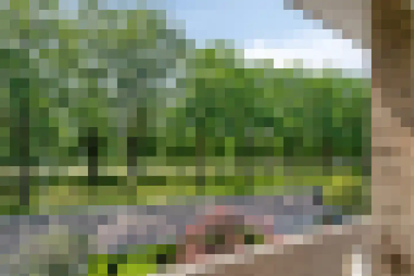 Europalaan 123 Etten-Leur thumbnail 29