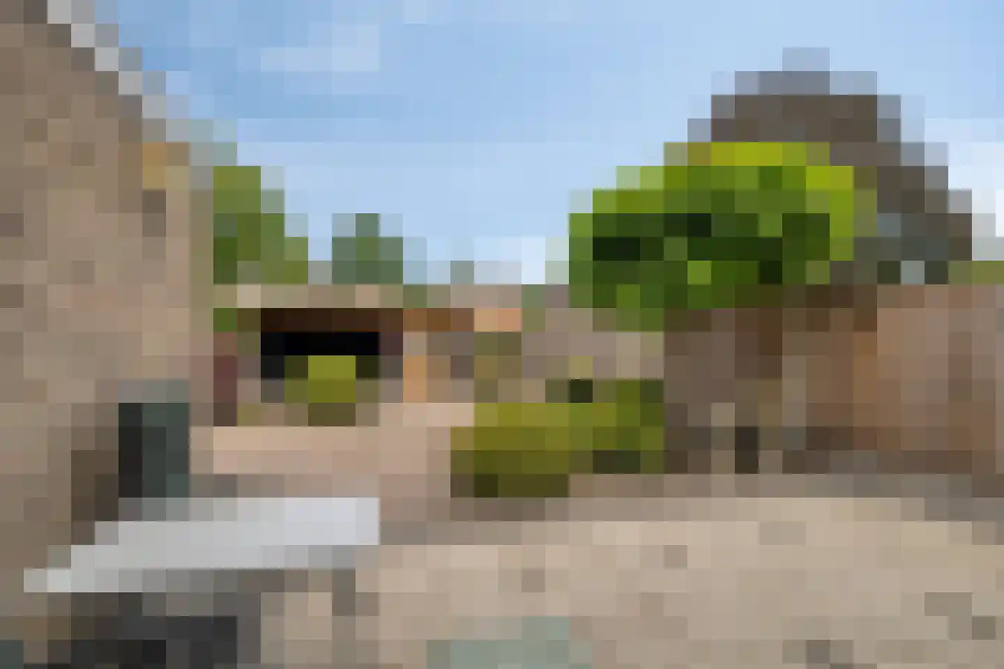 Europalaan 123 Etten-Leur thumbnail 4