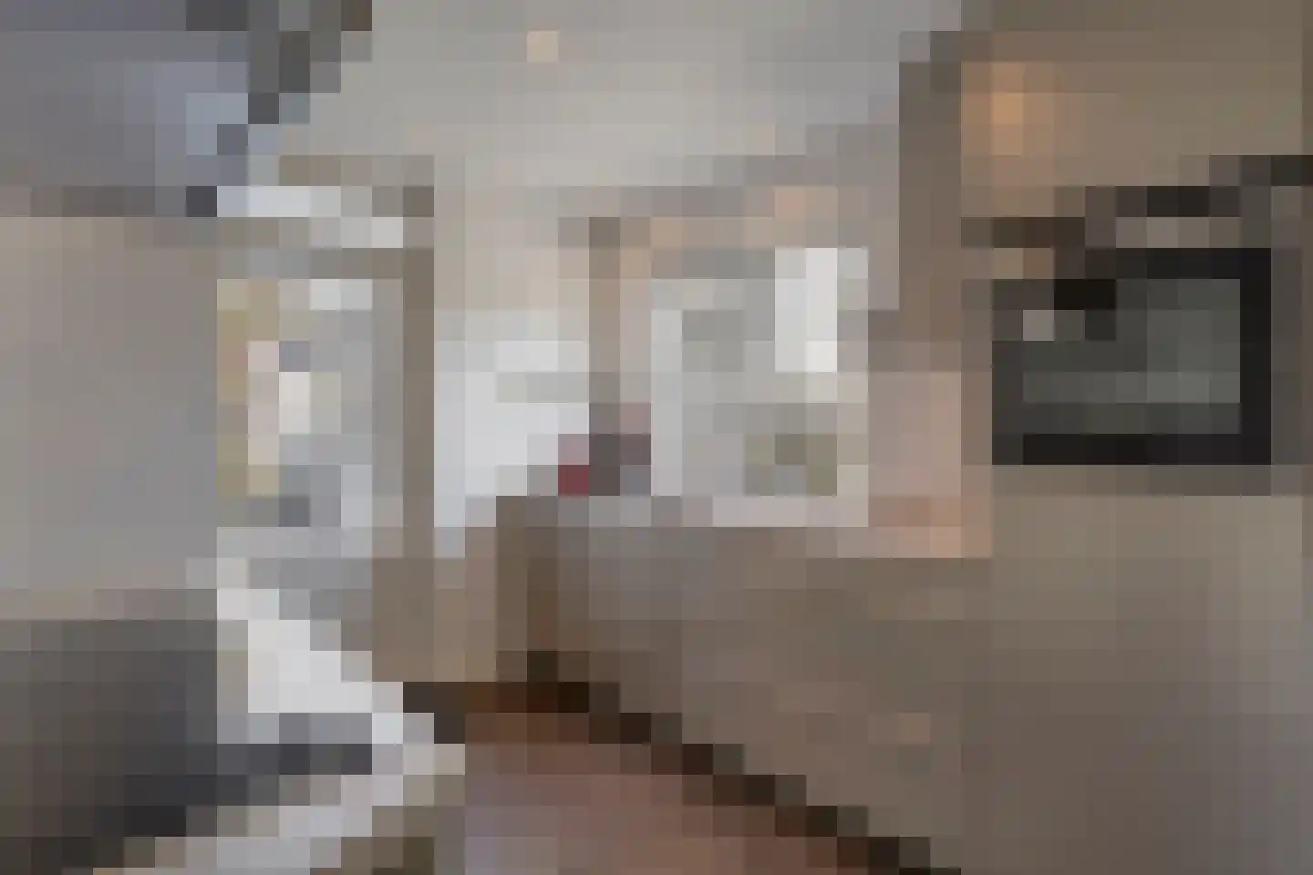 Europalaan 125 Nuenen thumbnail 17