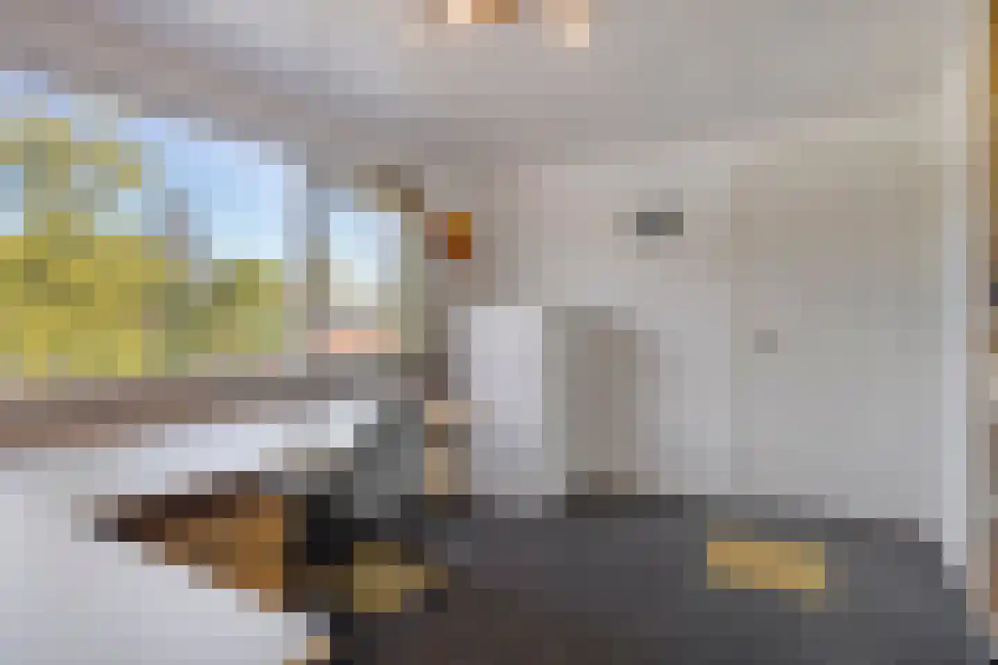 Europalaan 125 Nuenen thumbnail 31