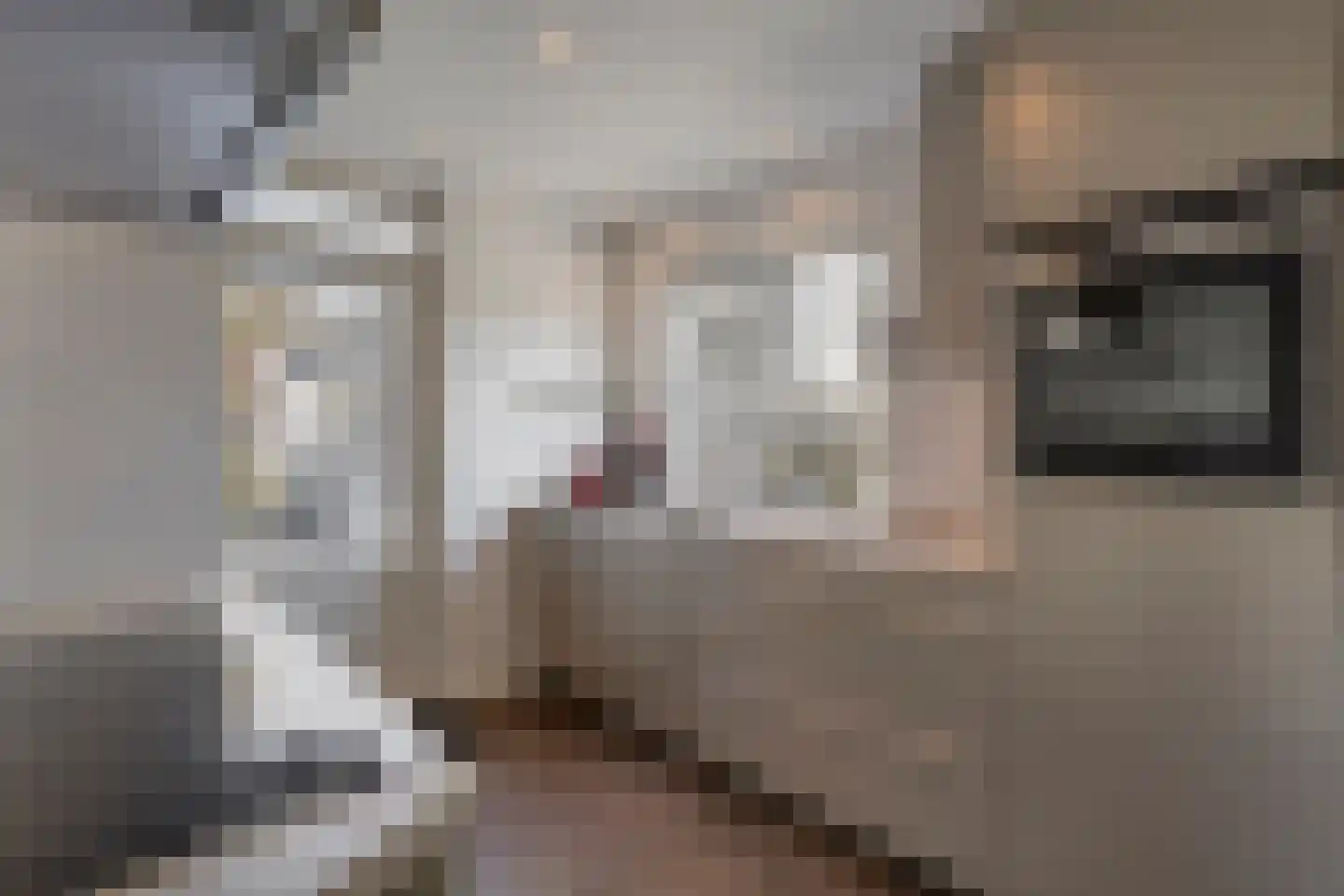 Europalaan 125 Nuenen thumbnail 4