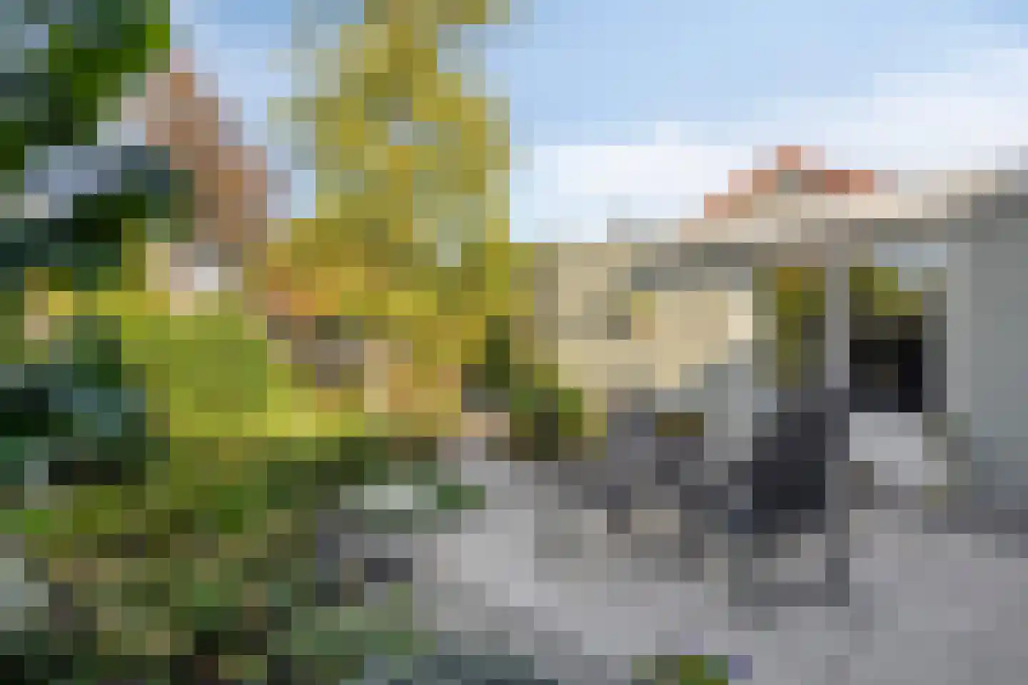 Europalaan 125 Nuenen thumbnail 41