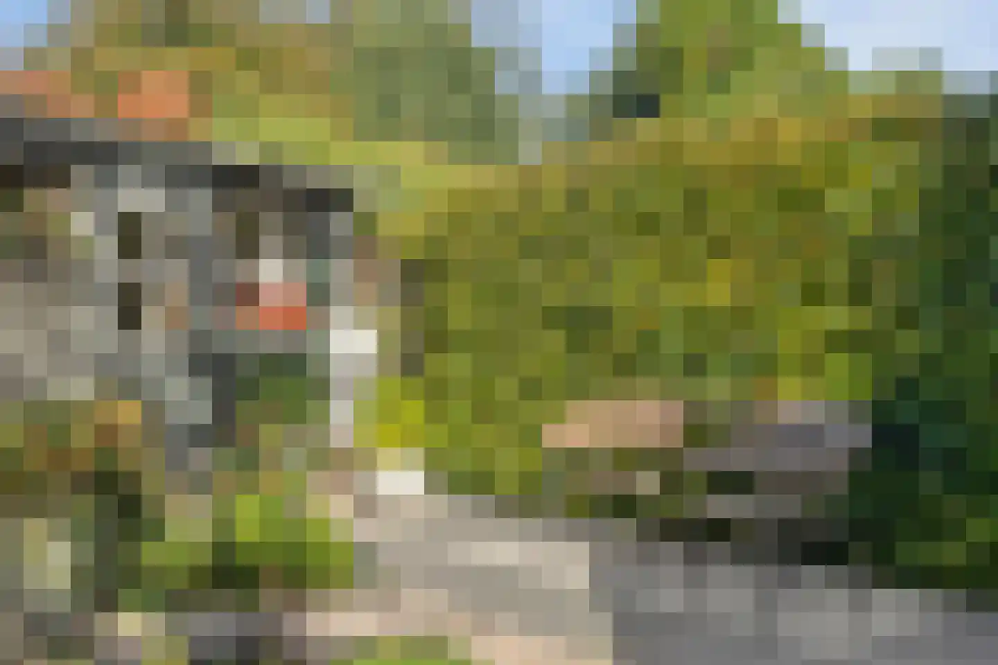 Europalaan 125 Nuenen thumbnail 44