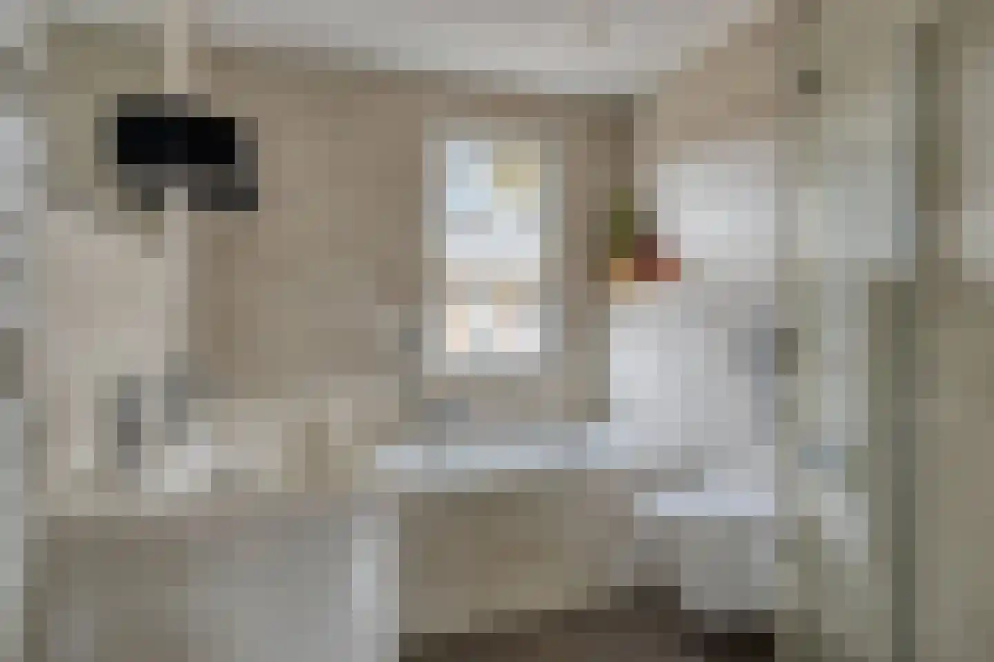 Europalaan 128 A Nuenen thumbnail 18