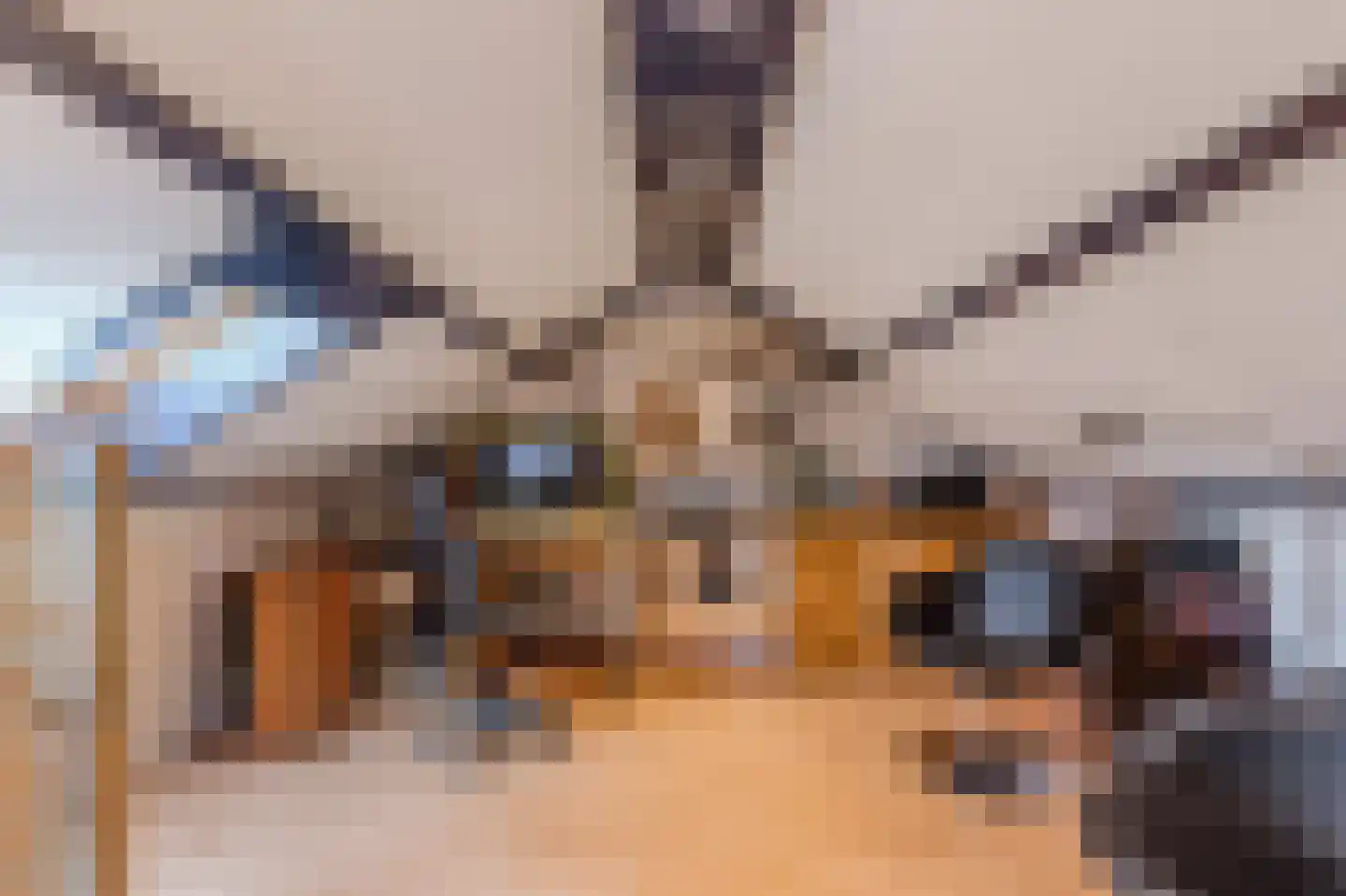 Europalaan 132 Emmeloord thumbnail 37