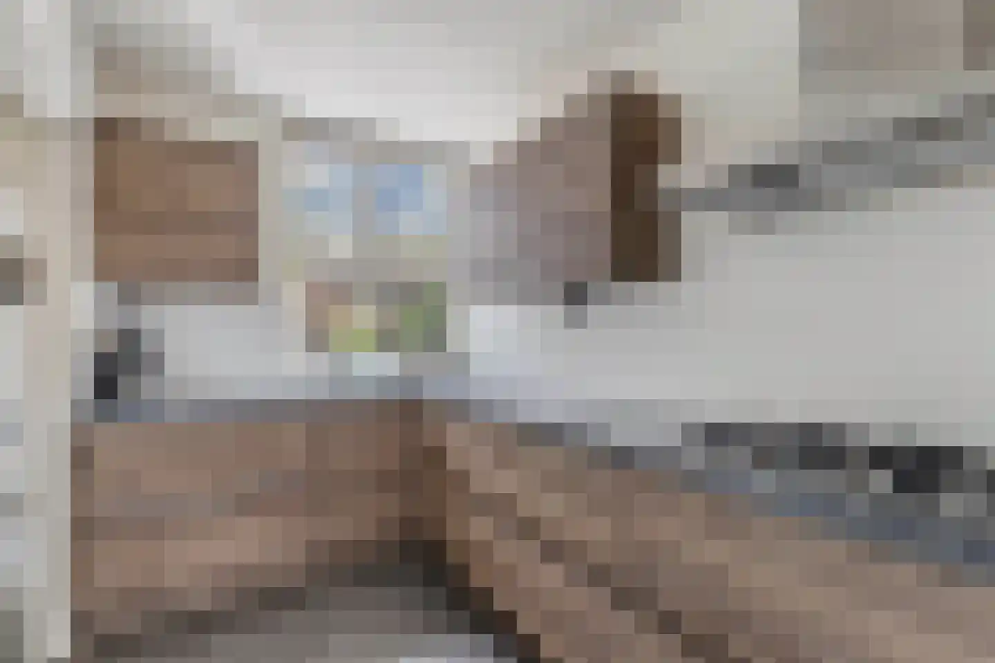 Europalaan 132 Emmeloord thumbnail 4