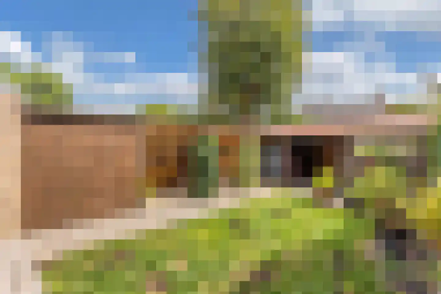 Europalaan 132 Emmeloord thumbnail 42