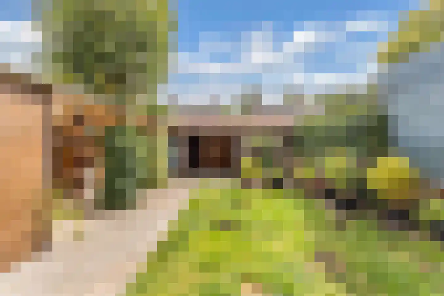 Europalaan 132 Emmeloord thumbnail 43