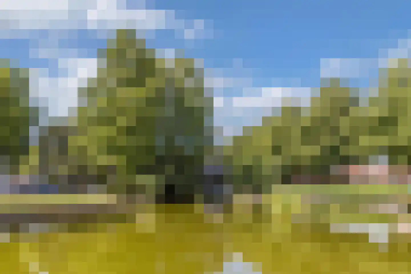 Europalaan 132 Emmeloord thumbnail 47