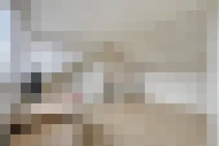 Europalaan 132 Nuenen thumbnail 29