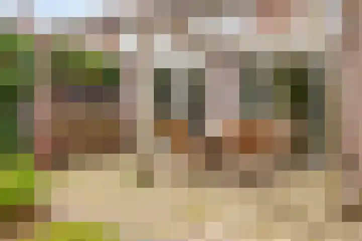 Europalaan 132 Nuenen thumbnail 32