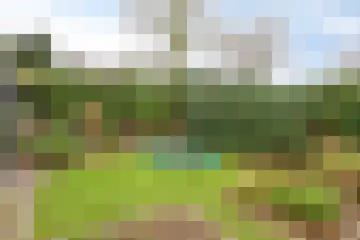 Europalaan 132 Nuenen thumbnail 33