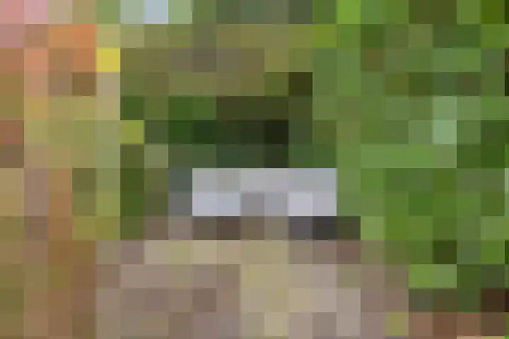 Europalaan 132 Nuenen thumbnail 35