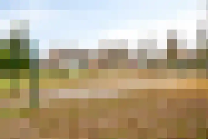 Europalaan 132 Nuenen thumbnail 39