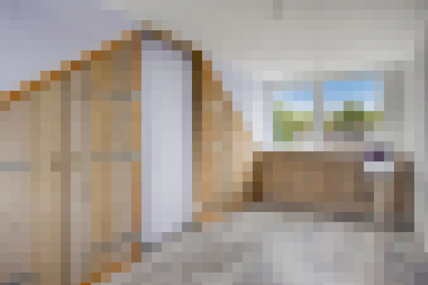 Europalaan 139 Drunen thumbnail 21