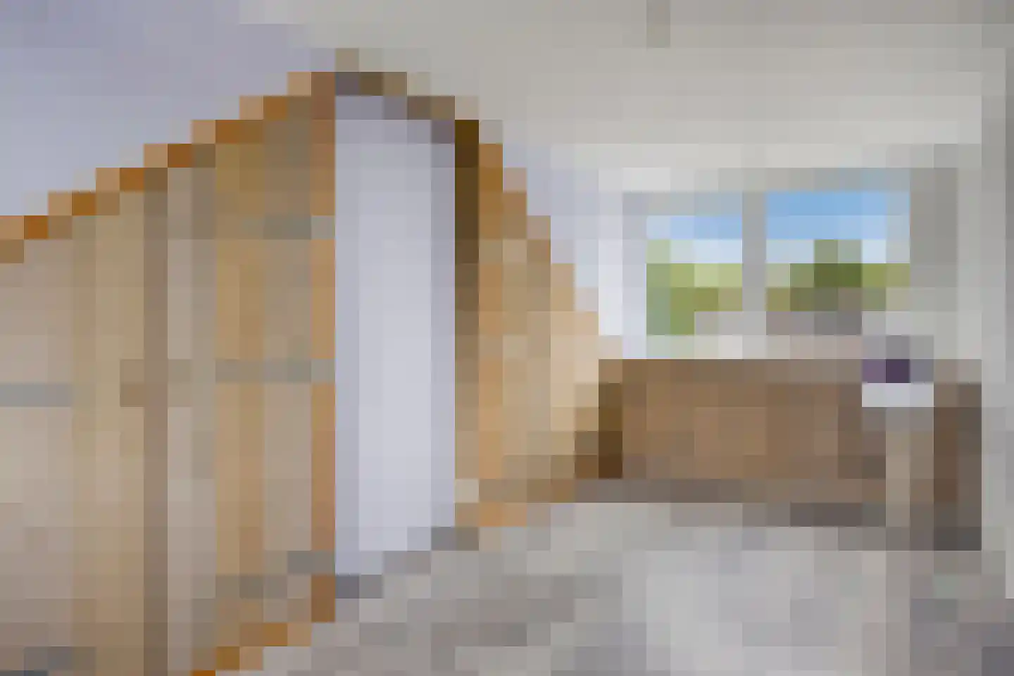 Europalaan 139 Drunen thumbnail 26