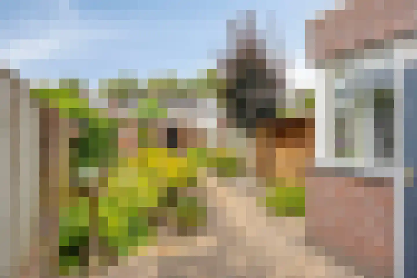 Europalaan 139 Drunen thumbnail 28