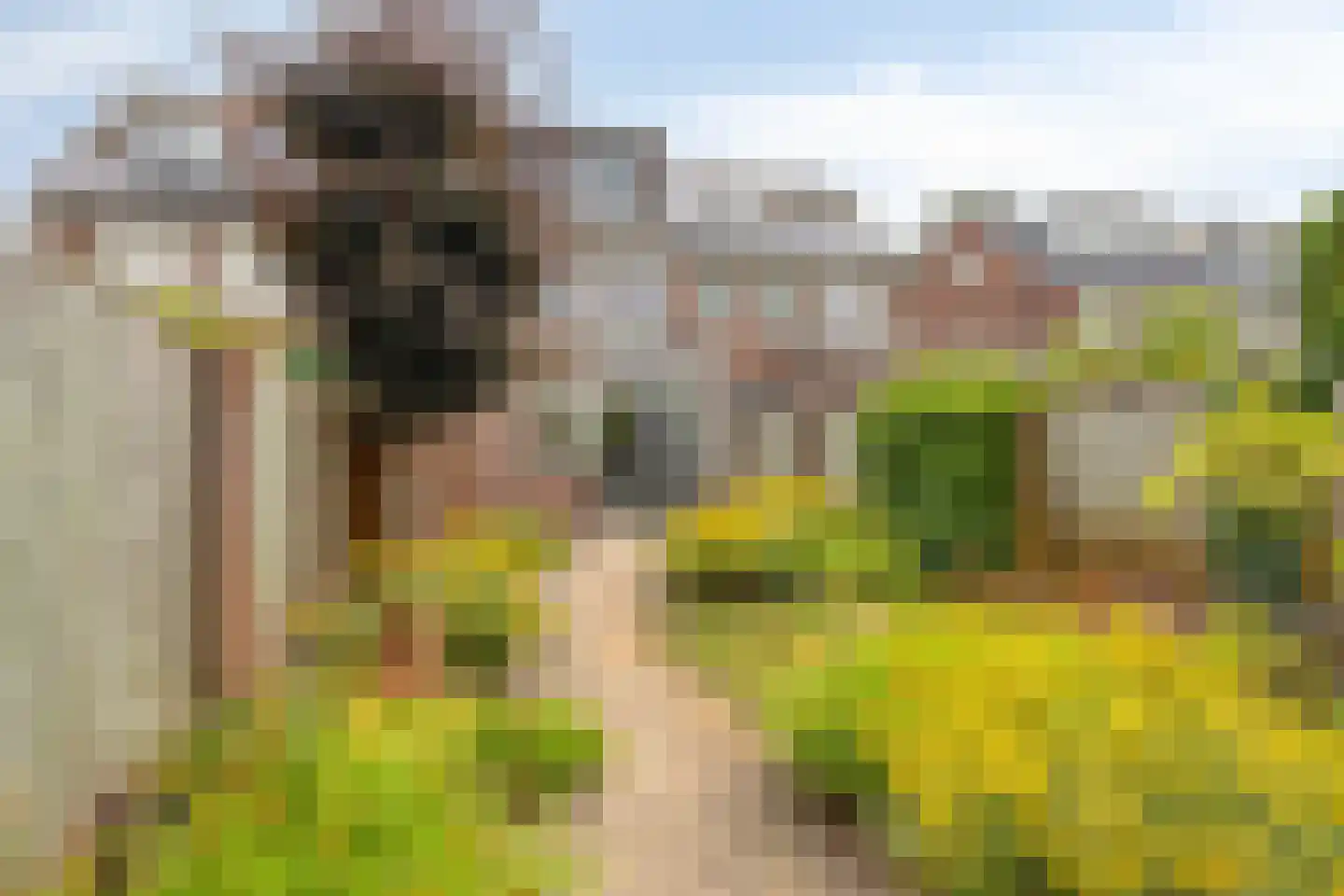 Europalaan 139 Drunen thumbnail 31