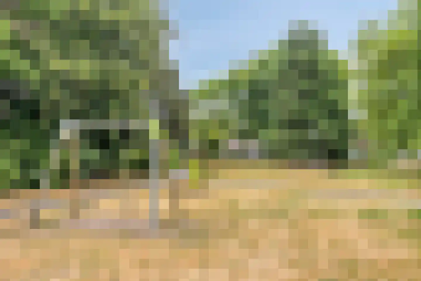 Europalaan 139 Drunen thumbnail 31