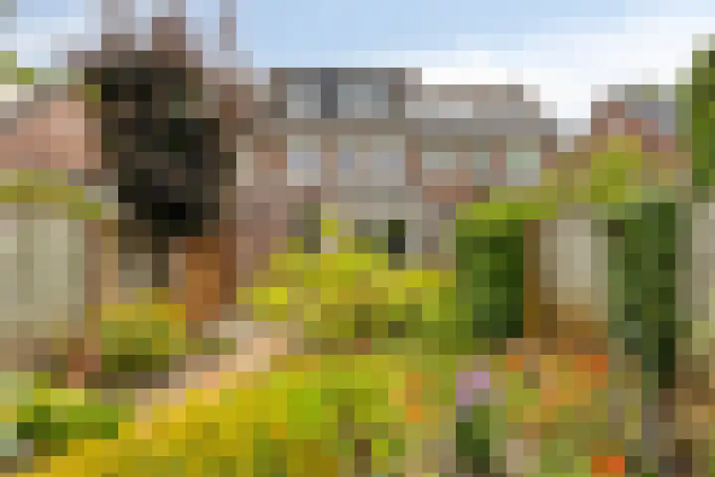 Europalaan 139 Drunen thumbnail 32