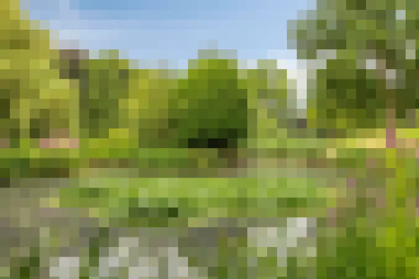 Europalaan 139 Drunen thumbnail 34