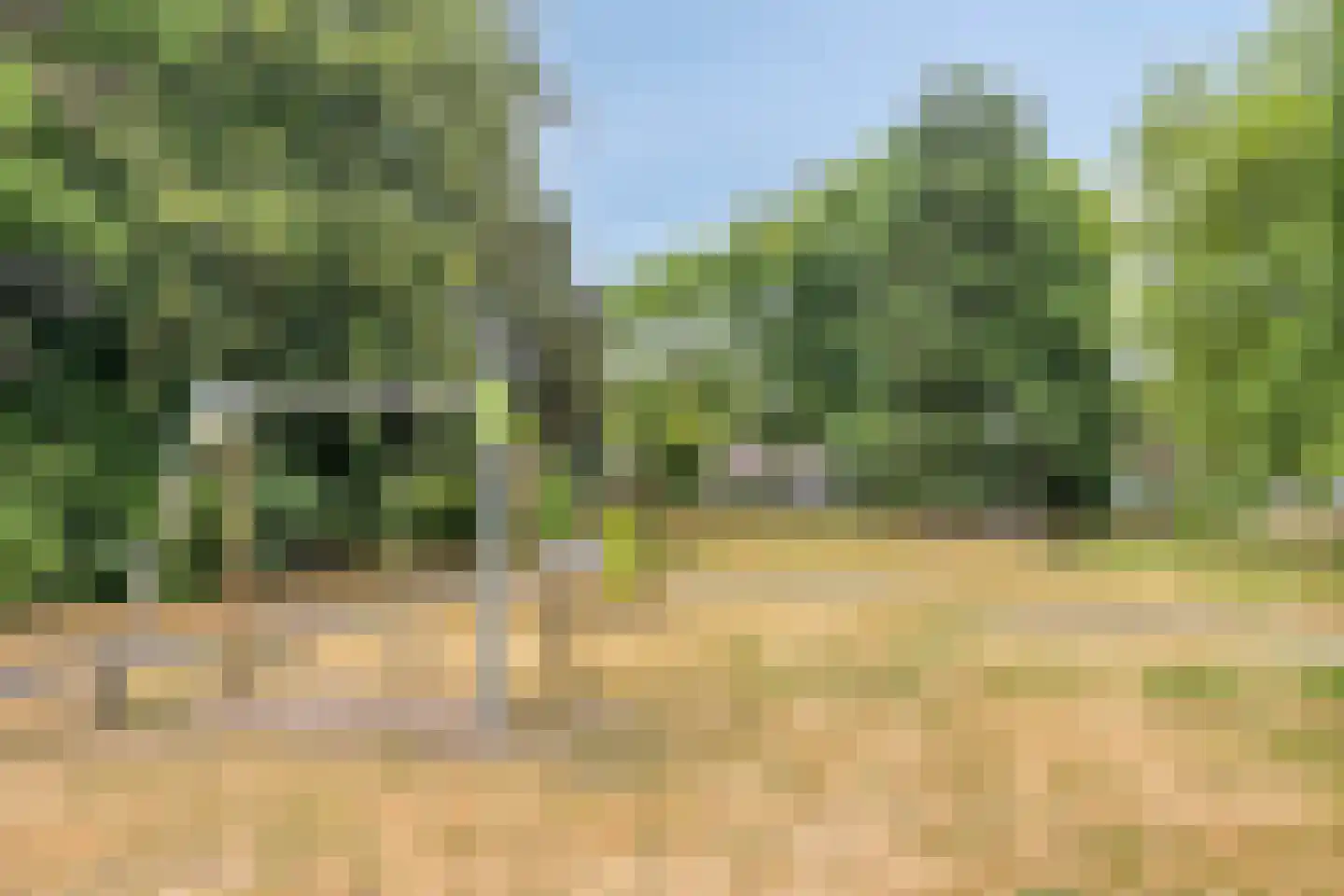 Europalaan 139 Drunen thumbnail 37