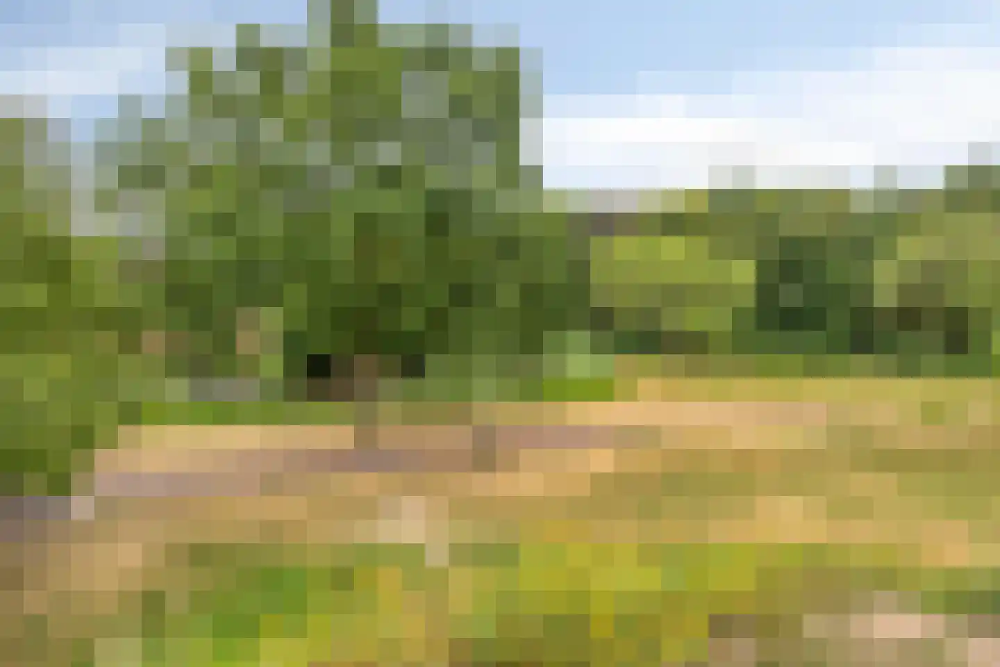 Europalaan 139 Drunen thumbnail 38