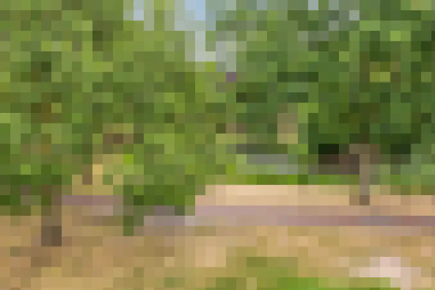 Europalaan 139 Drunen thumbnail 39