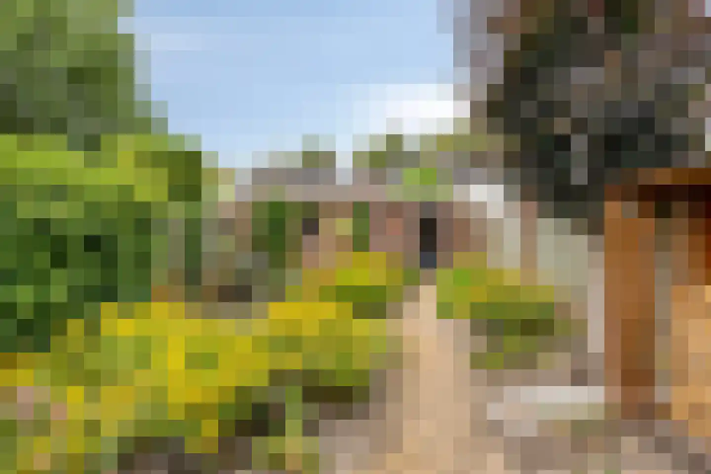Europalaan 139 Drunen thumbnail 4
