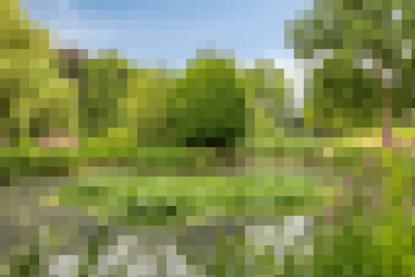 Europalaan 139 Drunen thumbnail 40