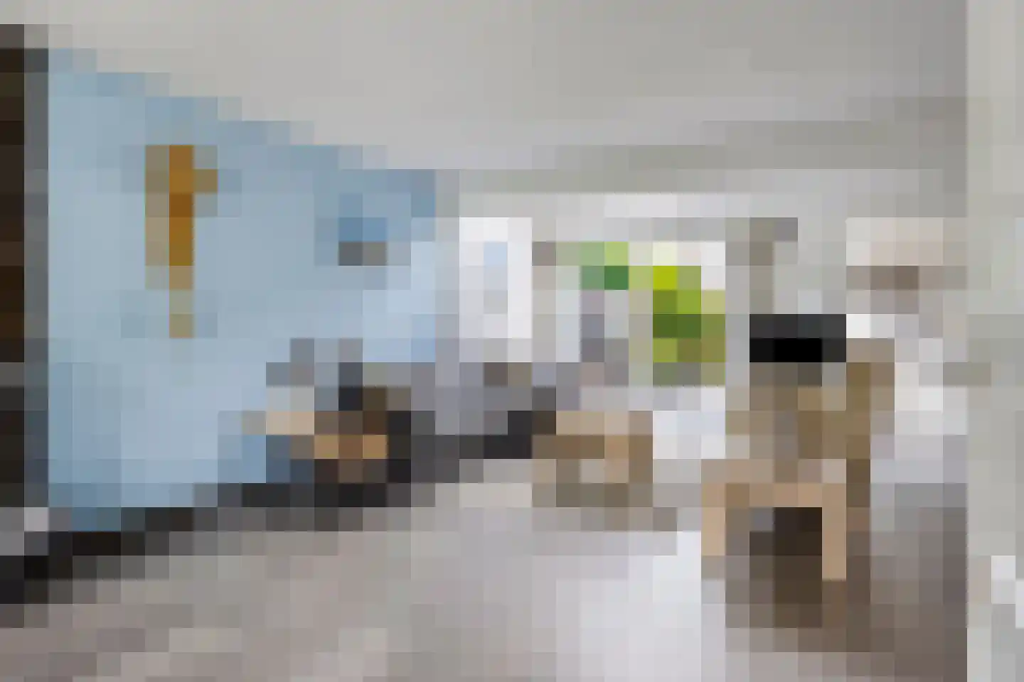 Europalaan 139 Drunen thumbnail 6