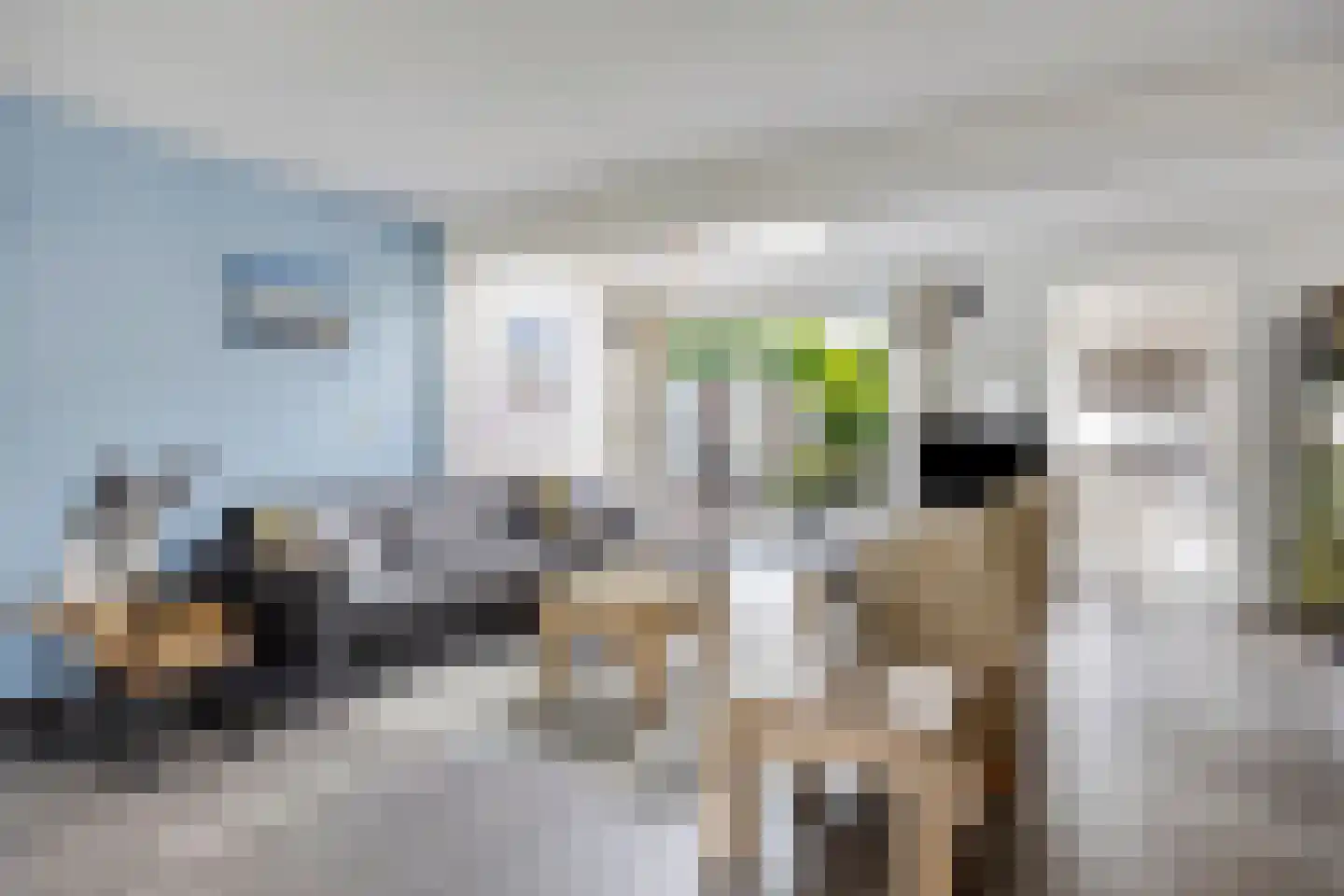 Europalaan 139 Drunen thumbnail 8