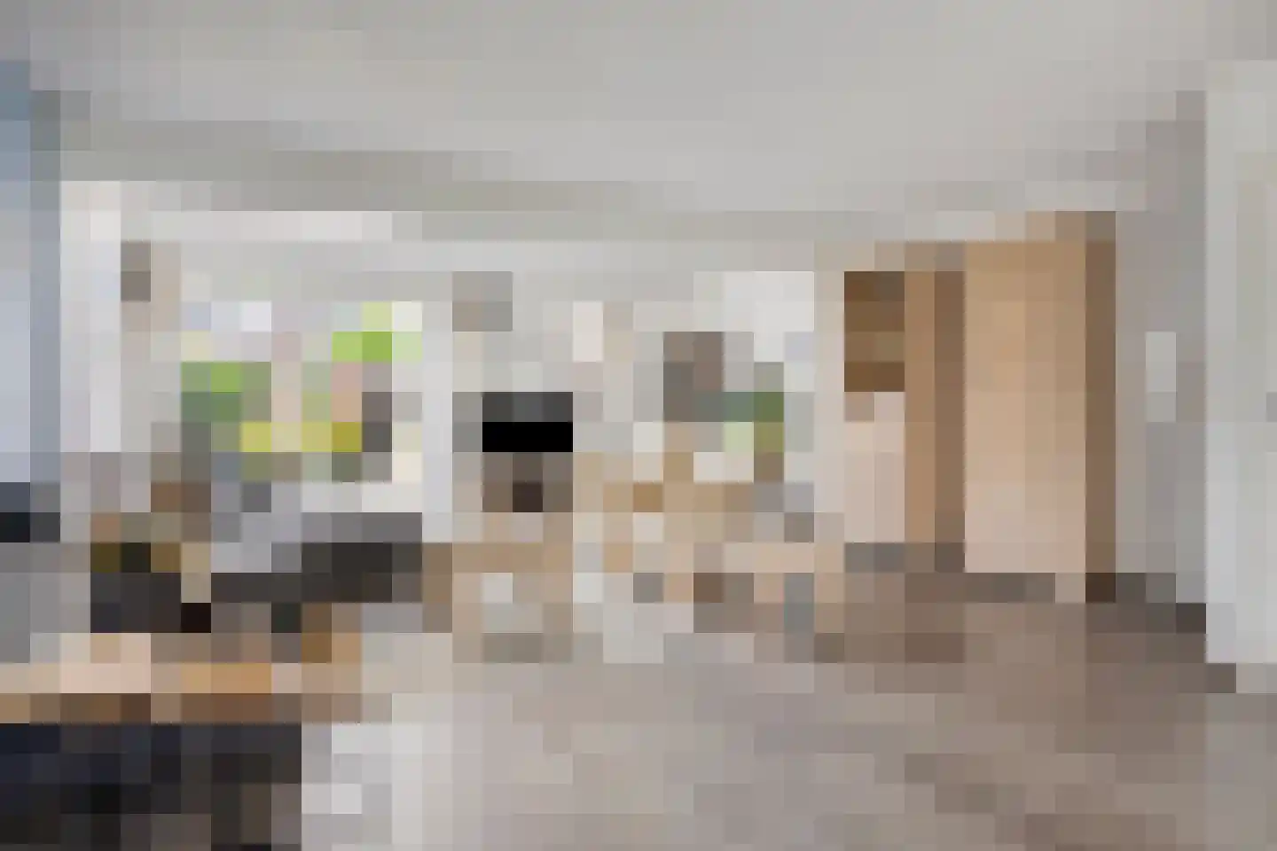 Europalaan 139 Drunen thumbnail 9
